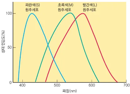 Cone cell color response function
